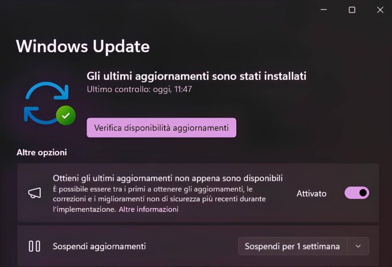 aggiornare manualmente Windows 24H2