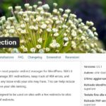 Reindirizzamenti Plugin Redirection