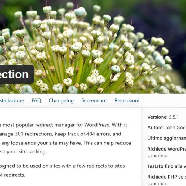 Reindirizzamenti Plugin Redirection: Guida Completa per WordPress