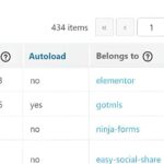 opzioni autoload WordPress troppo grandi