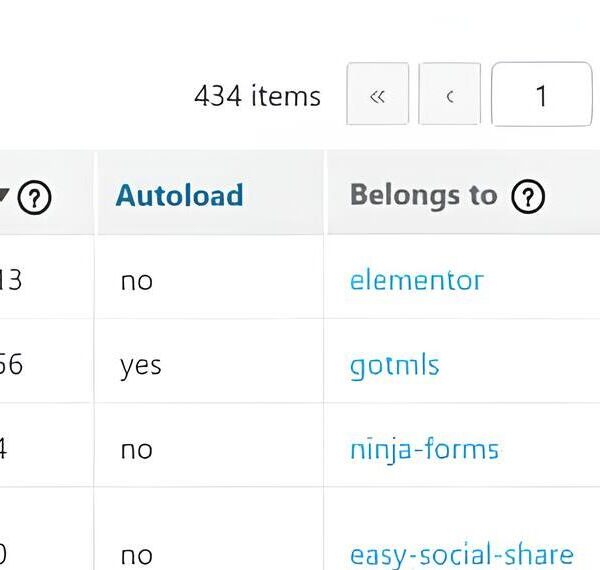 Come ridurre le opzioni caricate automaticamente in WordPress quando superano 1 MB