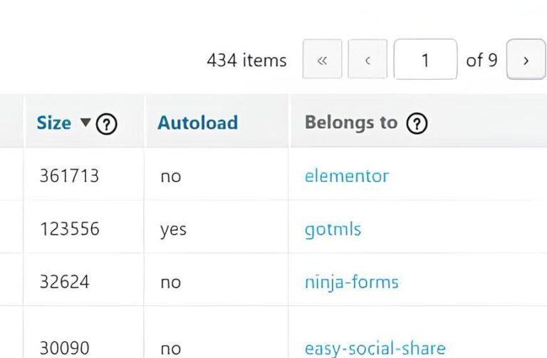opzioni autoload WordPress troppo grandi