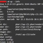 eliminare i transient scaduti nel database WordPress senza plugin