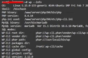 eliminare i transient scaduti nel database WordPress senza plugin