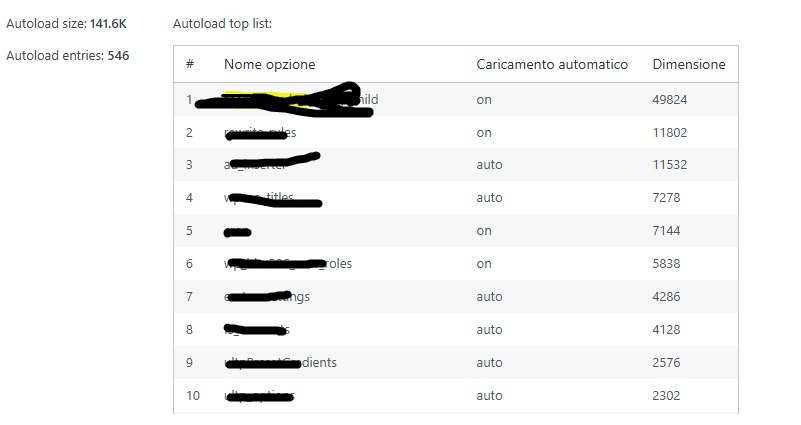 opzioni autoload WordPress troppo grandi